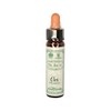 AINSWORTHS Original Dr. Bach Method Flower Essence Elm