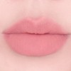 AMUSE LIP SMUDGER Lip Smudger [Genuine] [Amuse] (01 Momo)