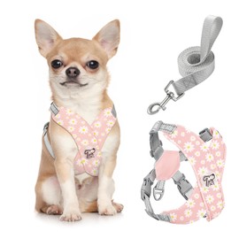 Pawaboo Small Dog Harness and Leash Set, Puppy Harness X-Frame No Pull No Choke, Dog Vest Harness Adjustable for Small Medium Sized Dogs,Soft Breathable Pet Harness for Walking Outing, S, Pink Daisy