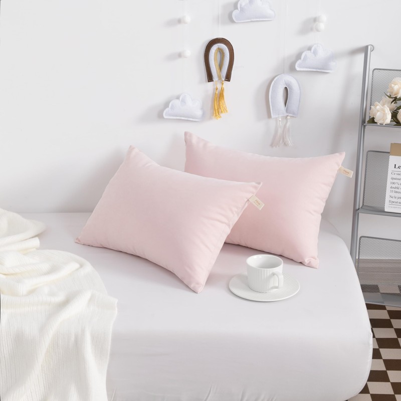 NTBAY Tiny Pillows, Down Alternative 7"x11" Microfiber Mini Pillow for