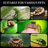 Acrylic Jumping Spider Habitat, Reptile Terrarium Easy Assembly, Bug Enclosure,