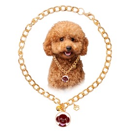 HOWWFALY Dog Collar and Cat Chain Necklace Stainless Steel Adjustable 18K Gold Heart-Shaped Necklace for Small Pets Cats Kitten Puppy (Gold, 9.85)