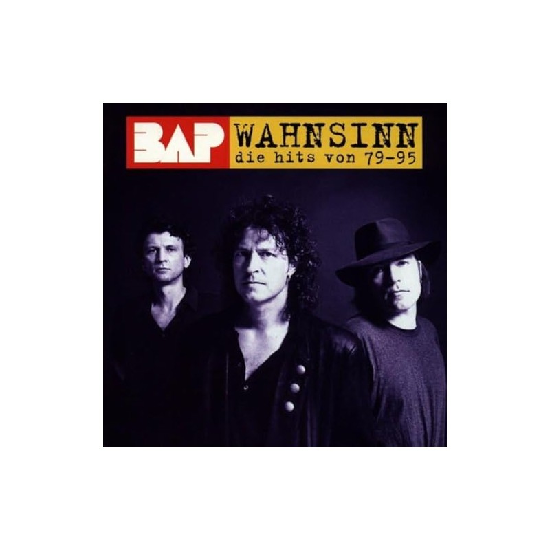 Wahnsinn-die Hits Von '79-'95