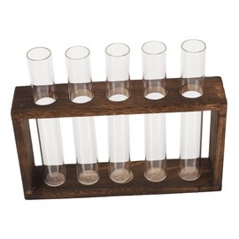 Totority 1Pc Vintage Test Tube Stand Hydroponics Planter for Air Plants Elegant Desktop Terrarium Container Unique Water Planting Display for Home Decor and