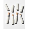Luna Pro Perfecting Stick Concealer [1+1] / 프로 퍼펙팅 스틱