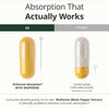 Quercetin w/ Bromelain Turmeric Curcumin Supplement – Triple Action: Allergy