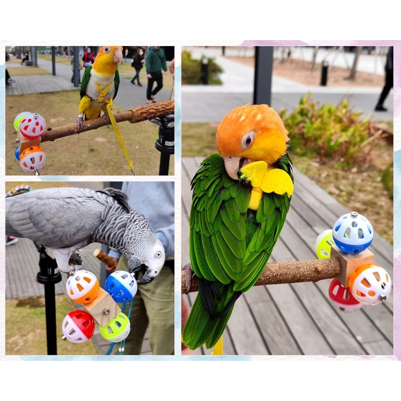 DS. DISTINCTIVE STYLE Bird Perch Stand Toy with Rotatable Balls,
