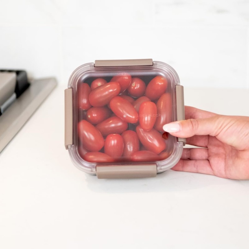 LocknLock Stainless Steel Food Storage Container - Airtight, Leak-Proof, Stackable