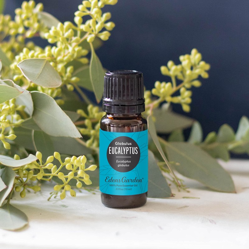 Eucalyptus 100% Pure Therapeutic Grade Essential Oil, 30 ml