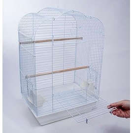 PENN-PLAX Cockatiel & Small Parrot Starter Birdcage – Great for Cockatiels, Conures, and Small Parrots – Scalloped Dome – White