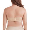 DotVol Women's Strapless Bra, Backless, Without Straps, Push Up Bra