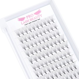 Ready-to-Use Eyelash Fans, 6D-D-0.07-8, Lace Base, Ready-to-Use Fan Eyelash Extensions, Pointy Base, 0.07 0.10, Eyelash Extension, C D Eyelash Volume Technology, 8-15 mm (6D-D-0.07, 11 mm)