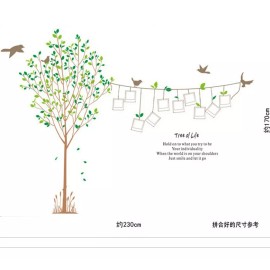 DaraBaby Vinil Decorativo Árbol Grande Porta Retratos Sala Habitación