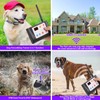 2 in 1 Wireless Dog Fence with Training Collars, ManKiaPro