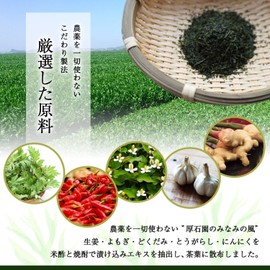 Cold Brew Green Tea, Tea Bags, Chirocha, Sencha, #1 Tea Powder, Produced in Kagoshima Prefecture, No Pesticides, Made in Home-Made Organic Fertilizer, 0.2 oz (5 g) x 20 Packs