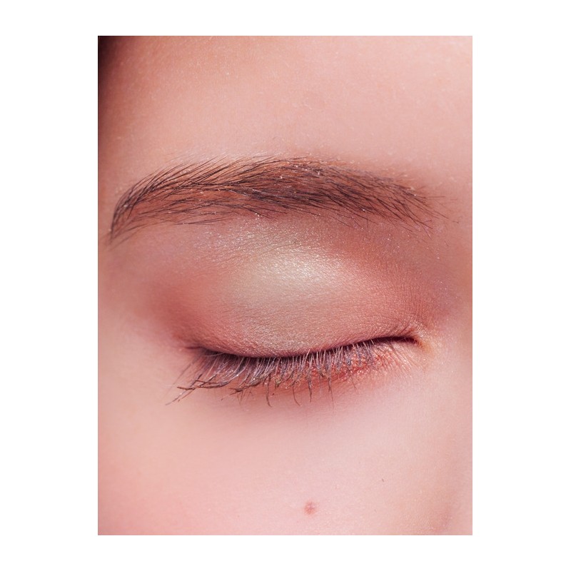 Van Gogh Eyeshadow Palette 10 Rose / 반고흐 아이섀도우 팔레트