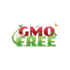 Green Bean Seeds-Heirloom Variety-Bush Bean Planting Seeds-50+ Seeds-USA Grown and Shipped from USA