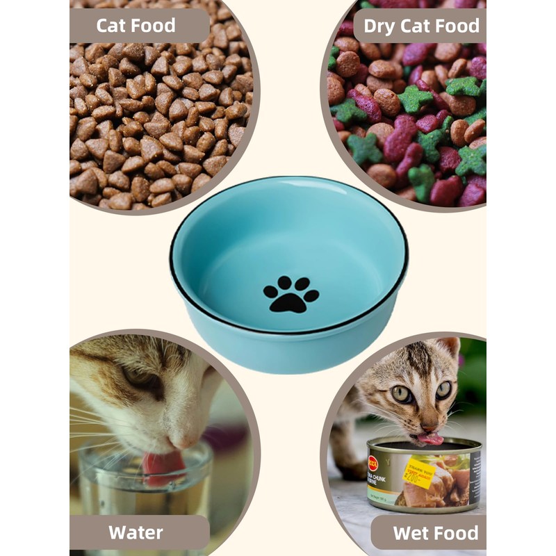 GDCZ Ceramics Raised Cat Bowls with Heighten Metal Stand,15 Ounces
