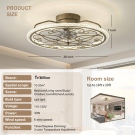 Low Profile Ceiling Fan with Lights Remote Control 20" Bladeless Ceiling Fan with Light Boho Vintage Flush Mount Enclosed Ceiling light 3 Color Smart LED Dimmable,Handmade Antique Vintage Silver