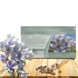 Outsidepride Bicolor Blue Ripple Sweet Pea Seeds - 100 Pcs Annual, Easy to Grow, Vine Seeds for Planting Fragrant, Long-Lasting Flowers with Free-Flowering Habit & Tall Size for Vertical Gardens