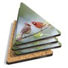 4 x Triangle Coasters - Northern Cardinal Birds Bird Cork