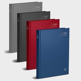 A4 Page a Day 2025 Diary, Assorted Hardback Classic Colours X1