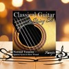 2 SETS! Adagio Pro Classical Acoustic Nylon Guitar Strings -