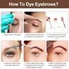 Eyelash & Eyebrow Kit, 2-In-1 Professional Lash & Brow Color