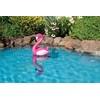 Poolmaster 81432 Floating Swimming Pool Backyard Décor, Pink Flamingo