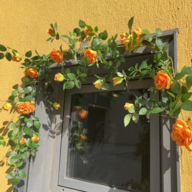 5.9FT Shyshining Bendable Rose Flower Garlands, Artificial Silk Wild Roses Vine Hanging Flowers for Wall Fireplace Fence Table centerpieces Trellis Wedding Home Spring Summer Fall Decor(Orange)