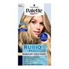 Tinte para cabello Palette Intensive Color Creme Kit 72-c Cenizo