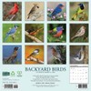 Willow Creek Press, Backyard Birds 2026 Wall Calendar, 12'' X