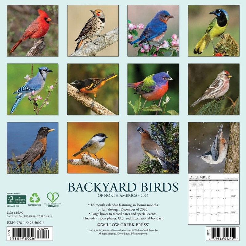 Willow Creek Press, Backyard Birds 2026 Wall Calendar, 12'' X