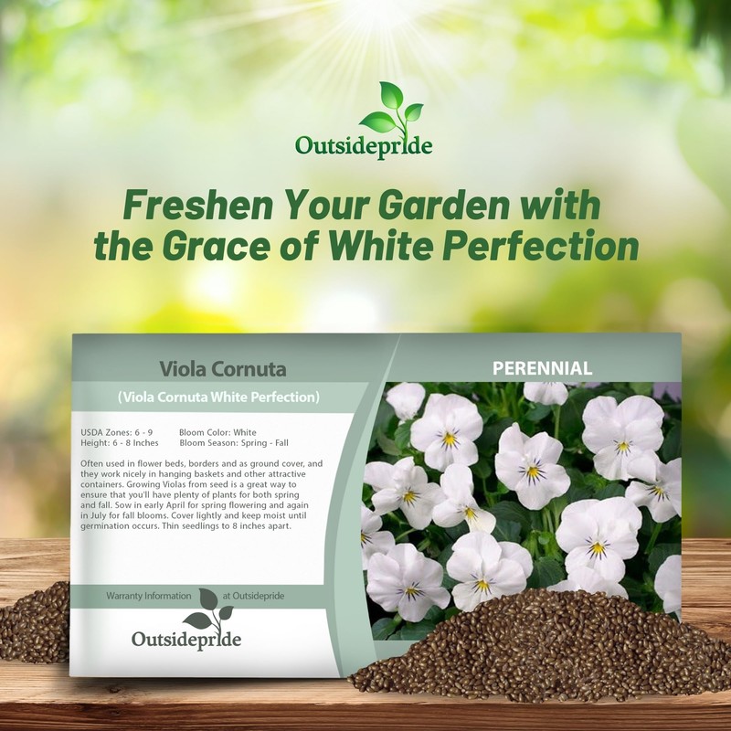 Outsidepride White Perfection Viola Pansy Seeds for Planting - 1000