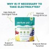 Venture Pal Sugar Free Electrolyte Powder Packets - Liquid Daily