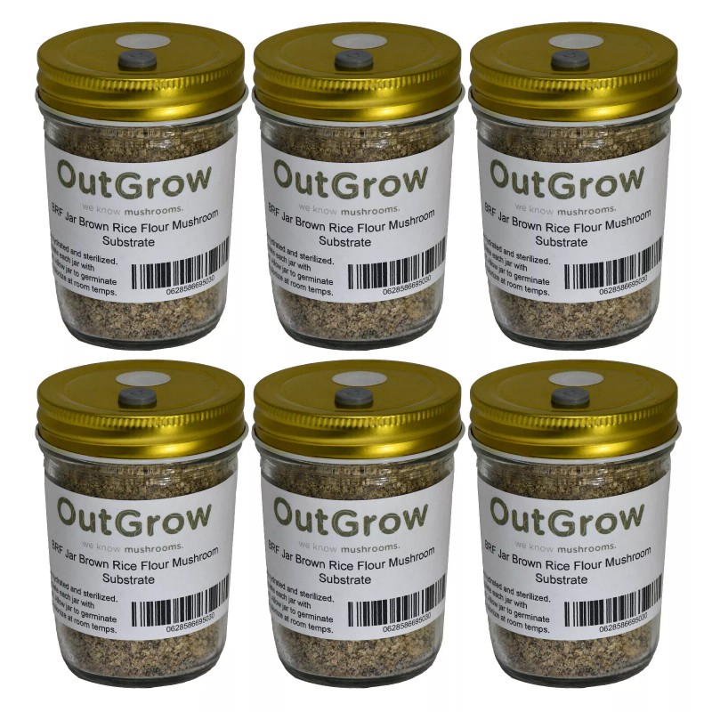 Out-Grow BRF Jars Brown Rice Flour Mushroom Substrate (6 Pack)