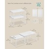 SONGMICS Cabinet Organizer Shelf, Set of 4 Kitchen Counter Shelves,