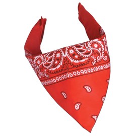 Red Bandana Party Accessory (1 count)