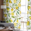 AMZRicher Lemon Sheer Curtains 63 Inch Length 2 Panels Set,
