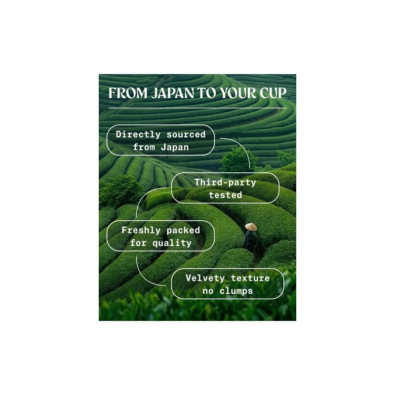 Naturalebio Té Verde Matcha En Polvo Orgánico 99 G