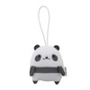 Morisaka Global Petamon Mascot, Panda, 2.2 x 1.0 x 2.6