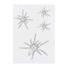4 x 'Hairy Tarantula' Temporary Tattoos - Water Resistant, Skin-Safe, Non-Toxic Transfers, Mixed Sizes (TO00079218)