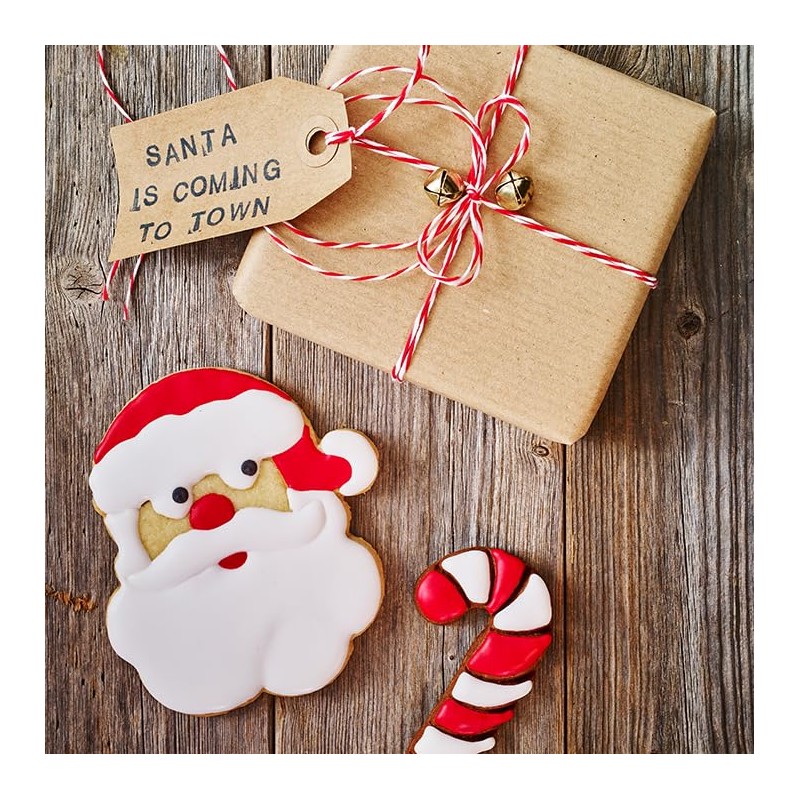 Birkmann 1010718510 Ausstechform Weihnachtsmann-Gesicht, 10,4 cm, Kunststoff, Grau, 5 x