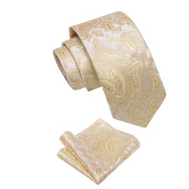 YourTies Gold Champagne Ties and Pocket Square Set Silk Mens Tie Formal Wedding Party Paisley Necktie Business