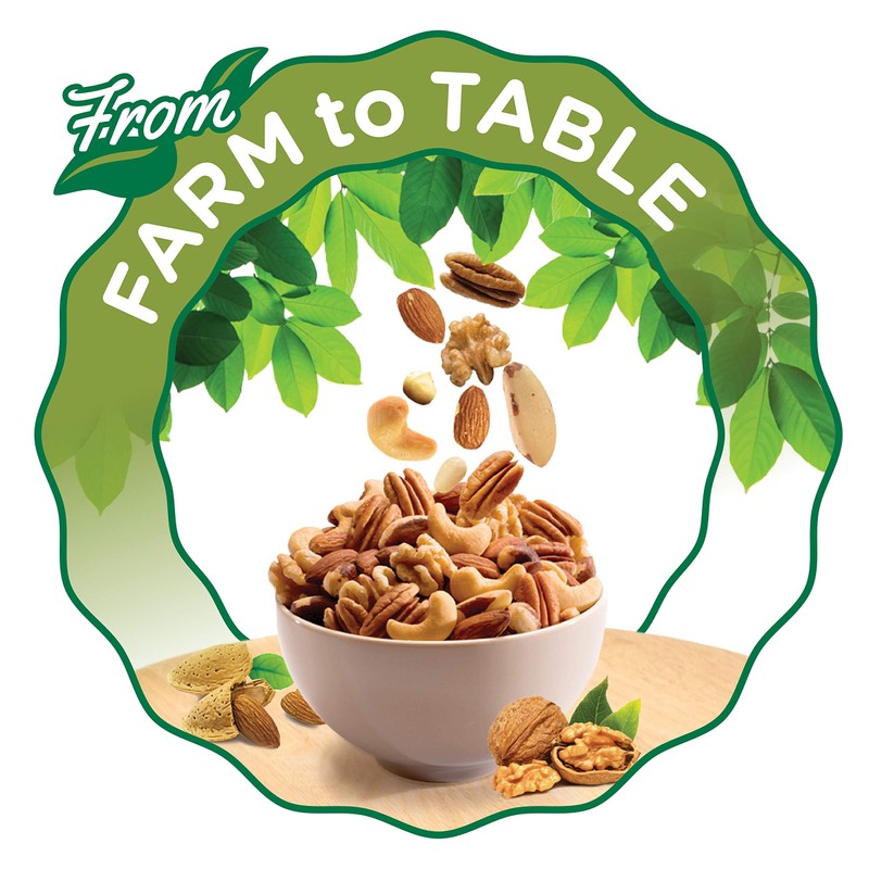 (Roasted Salted) - FISHER Snack Roasted Salted Pecans, Stand-Up Bag,