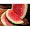 Bradford Watermelon Seed Packet Super Sweet Southern Heirloom