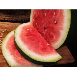 Bradford Watermelon Seed Packet Super Sweet Southern Heirloom