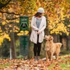 Mutt Mitt® Singles Dog Waste Header Bags - 500 Bags