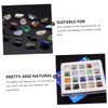 CIYODO Educational Ore Specimens Kit 20 Types Natural Crystal Ores