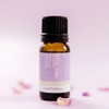 ECO. Modern Essentials Little Immune Booster Essential Oil Blend, Blend